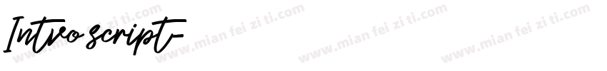 Intvo script字体转换
